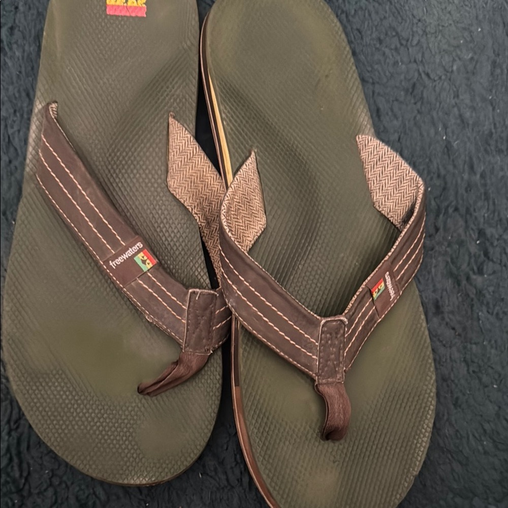 Havaianas Men's Brown Flip Flops